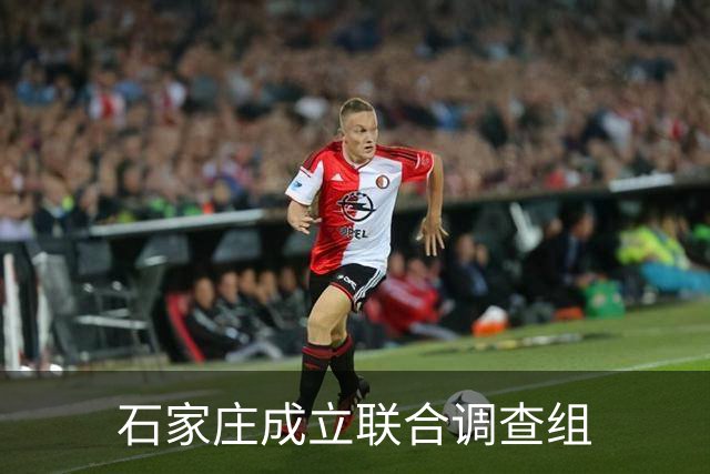 石家庄成立联合调查组