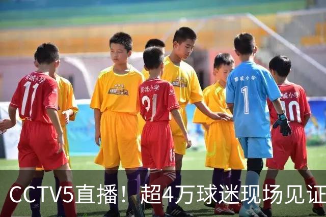CCTV5直播！超4万球迷现场见证，成都蓉城再迎“冠军点”，夺冠=中超现役第五